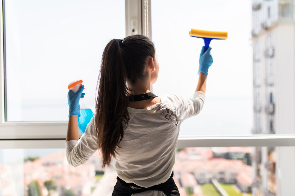 Windows Cleaning Services